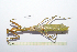  ( - GFMAN18-324)  @11 [ ] Copyright (2024) Nicolas Moulin Research Collection of Nicolas Moulin
