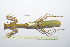 ( - GFMAN18-325)  @11 [ ] Copyright (2024) Nicolas Moulin Research Collection of Nicolas Moulin