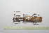  ( - GFMAN18-327)  @11 [ ] Copyright (2024) Nicolas Moulin Research Collection of Nicolas Moulin