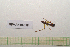  ( - GFMAN18-358)  @11 [ ] Copyright (2024) Nicolas Moulin Research Collection of Nicolas Moulin