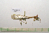  ( - GFMAN18-397)  @11 [ ] Copyright (2024) Nicolas Moulin Research Collection of Nicolas Moulin