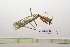  ( - GFMAN18-407)  @11 [ ] Copyright (2024) Nicolas Moulin Research Collection of Nicolas Moulin