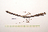  ( - GFMAN18-419)  @11 [ ] Copyright (2024) Nicolas Moulin Research Collection of Nicolas Moulin