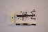  ( - NMMAN11-0107)  @11 [ ] Unspecified (default): All Rights Reserved  Unspecified Unspecified