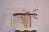  ( - NMMAN11-0110)  @11 [ ] Unspecified (default): All Rights Reserved  Unspecified Unspecified