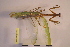  ( - NMMAN11-0115)  @12 [ ] Unspecified (default): All Rights Reserved  Unspecified Unspecified