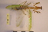  ( - NMMAN11-0116)  @12 [ ] Unspecified (default): All Rights Reserved  Unspecified Unspecified