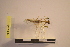  ( - NMMAN11-0121)  @11 [ ] Unspecified (default): All Rights Reserved  Unspecified Unspecified