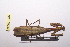  ( - NMMAN11-0206)  @12 [ ] Unspecified (default): All Rights Reserved  Unspecified Unspecified