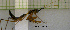  ( - NMMAN11-0383)  @12 [ ] Unspecified (default): All Rights Reserved  Unspecified Unspecified
