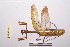  ( - NMMAN11-0478)  @11 [ ] Unspecified (default): All Rights Reserved  Unspecified Unspecified