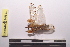  (Junodia - NMMAN11-0511)  @12 [ ] Unspecified (default): All Rights Reserved  Unspecified Unspecified