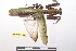  ( - NMMAN11-0835)  @11 [ ] Copyright (2022) Nicolas Moulin Research Collection of Nicolas Moulin