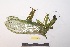  ( - NMMAN11-0844)  @11 [ ] Copyright (2022) Nicolas Moulin Research Collection of Nicolas Moulin