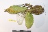  ( - NMMAN11-0911)  @11 [ ] Copyright (2023) Nicolas Moulin Research Collection of Nicolas Moulin