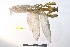  ( - NMMAN11-0913)  @11 [ ] Copyright (2023) Nicolas Moulin Research Collection of Nicolas Moulin