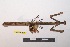  ( - NMMAN11-0915)  @11 [ ] Copyright (2023) Nicolas Moulin Research Collection of Nicolas Moulin