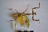  ( - NMMAN11-0092)  @11 [ ] Unspecified (default): All Rights Reserved  Unspecified Unspecified