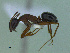  ( - MACN-Bar-Ins-ct 2975)  @11 [ ] Unspecified (default): All Rights Reserved  Unspecified Unspecified
