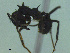  ( - MACN-Bar-Ins-ct 2988)  @11 [ ] Unspecified (default): All Rights Reserved  Unspecified Unspecified