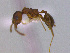  ( - MACN-Bar-Ins-ct 2998)  @11 [ ] Unspecified (default): All Rights Reserved  Unspecified Unspecified