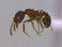  ( - MACN-Bar-Ins-ct 3001)  @12 [ ] Unspecified (default): All Rights Reserved  Unspecified Unspecified
