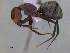 ( - MACN-Bar-Ins-ct 3005)  @11 [ ] Unspecified (default): All Rights Reserved  Unspecified Unspecified