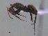  ( - MACN-Bar-Ins-ct 3008)  @11 [ ] Unspecified (default): All Rights Reserved  Unspecified Unspecified