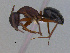  ( - MACN-Bar-Ins-ct 3019)  @13 [ ] Unspecified (default): All Rights Reserved  Unspecified Unspecified