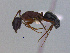 ( - MACN-Bar-Ins-ct 3028)  @13 [ ] Unspecified (default): All Rights Reserved  Unspecified Unspecified