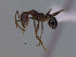  ( - MACN-Bar-Ins-ct 3032)  @13 [ ] Unspecified (default): All Rights Reserved  Unspecified Unspecified