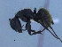  ( - MACN-Bar-Ins-ct 3041)  @13 [ ] Unspecified (default): All Rights Reserved  Unspecified Unspecified