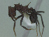  ( - MACN-Bar-Ins-ct 3177)  @11 [ ] Unspecified (default): All Rights Reserved  Unspecified Unspecified