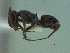  ( - MACN-Bar-Ins-ct 3209)  @11 [ ] Unspecified (default): All Rights Reserved  Unspecified Unspecified