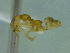  ( - MACN-Bar-Ins-ct 3242)  @11 [ ] Unspecified (default): All Rights Reserved  Unspecified Unspecified