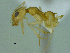  ( - MACN-Bar-Ins-ct 3244)  @11 [ ] Unspecified (default): All Rights Reserved  Unspecified Unspecified