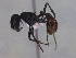  ( - MACN-Bar-Ins-ct 3264)  @11 [ ] Unspecified (default): All Rights Reserved  Unspecified Unspecified