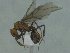  ( - MACN-Bar-Ins-ct 3274)  @11 [ ] Unspecified (default): All Rights Reserved  Unspecified Unspecified