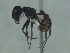  ( - MACN-Bar-Ins-ct 3283)  @12 [ ] Unspecified (default): All Rights Reserved  Unspecified Unspecified
