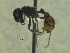  ( - MACN-Bar-Ins-ct 3302)  @11 [ ] Unspecified (default): All Rights Reserved  Unspecified Unspecified