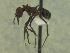  ( - MACN-Bar-Ins-ct 3312)  @11 [ ] Unspecified (default): All Rights Reserved  Unspecified Unspecified