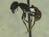  ( - MACN-Bar-Ins-ct 3321)  @11 [ ] Unspecified (default): All Rights Reserved  Unspecified Unspecified