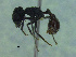  ( - MACN-Bar-Ins-ct 3340)  @11 [ ] Unspecified (default): All Rights Reserved  Unspecified Unspecified