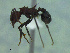  ( - MACN-Bar-Ins-ct 3351)  @11 [ ] Unspecified (default): All Rights Reserved  Unspecified Unspecified
