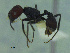  ( - MACN-Bar-Ins-ct 3375)  @11 [ ] Unspecified (default): All Rights Reserved  Unspecified Unspecified