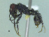  ( - MACN-Bar-Ins-ct 3392)  @11 [ ] Unspecified (default): All Rights Reserved  Unspecified Unspecified