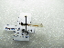  ( - NIBGE ODO-00448)  @12 [ ] CreativeCommons - Attribution Non-Commercial Share-Alike (2012) M. Sajjad Mirza National Institute for Biotechnology and Genetic Engineering Faisalabad Pakistan