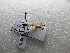  ( - NIBGE ODO-00462)  @12 [ ] CreativeCommons - Attribution Non-Commercial Share-Alike (2012) M. Sajjad Mirza National Institute for Biotechnology and Genetic Engineering Faisalabad Pakistan