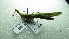  ( - NIBGE ORT-01268)  @13 [ ] CreativeCommons - Attribution Non-Commercial Share-Alike (2012) Muhammad Ashfaq National Institute for Biotechnology and Genetic Engineering Faisalabad Pakistan