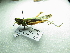  ( - NIBGE ORT-01316)  @12 [ ] CreativeCommons - Attribution Non-Commercial Share-Alike (2012) M. Sajjad Mirza National Institute for Biotechnology and Genetic Engineering Faisalabad Pakistan